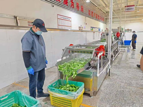 吃出生产力 揭秘超级工厂的餐饮管理智慧